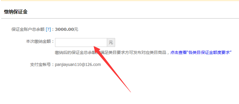 輸入金額